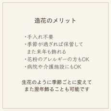 画像5: 御仏壇用のお供え花（クラシッククレマチス 薄紫）（2束） (5)