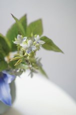 画像4: 御仏壇用のお供え花（クレマチス ブルー） (4)