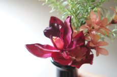 画像4: 御仏壇用のお供え花（シンビジュームのお供え花） (4)