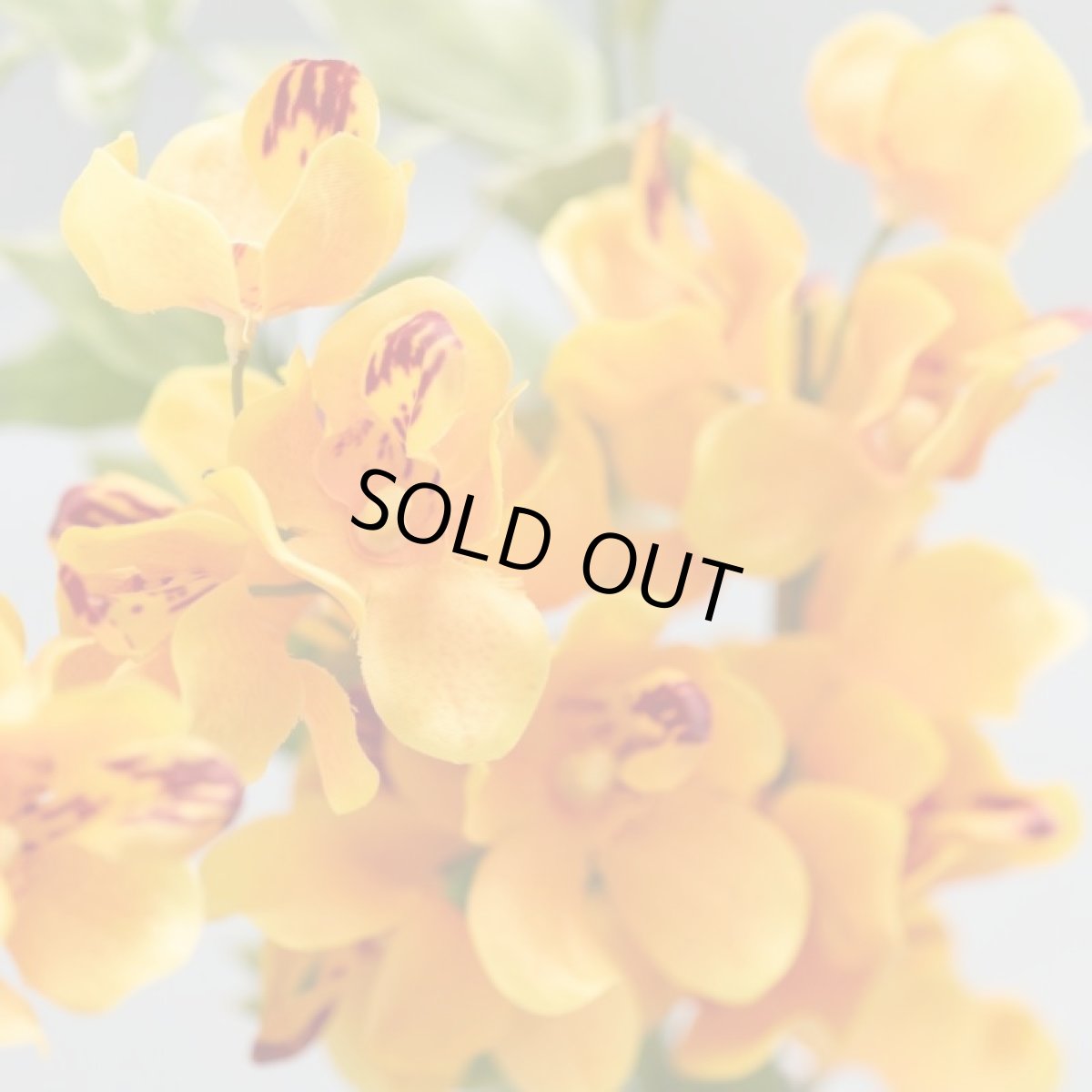 画像2: お墓用高級造花 【MEMORIES PREMIUM】蘭の花束（黄色・Sサイズ・１対） (2)